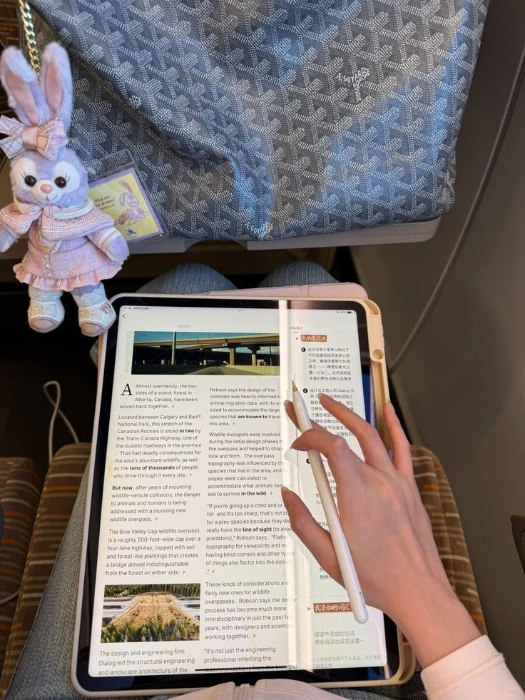 📚 Ebooks & Guides