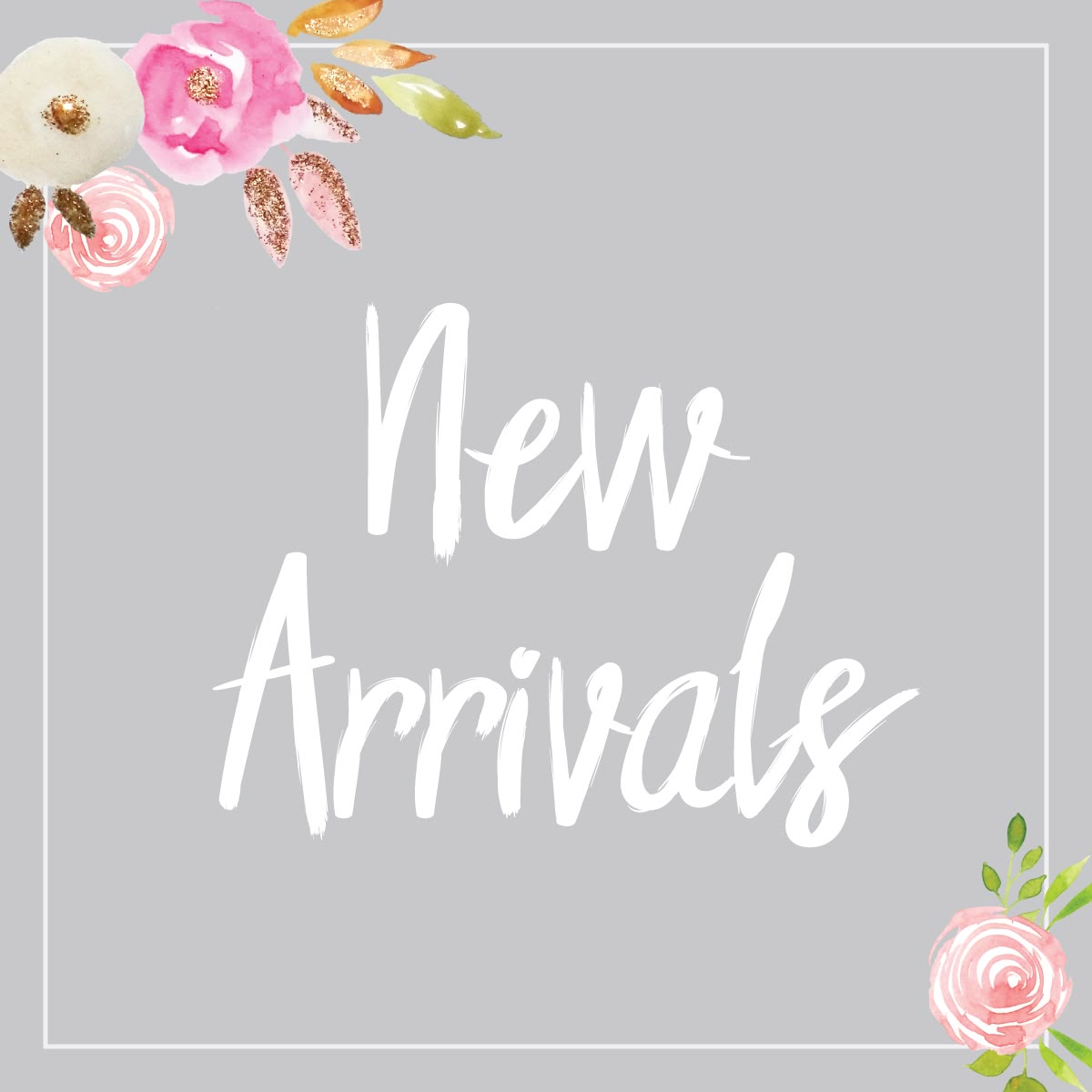 🆕 New Arrivals