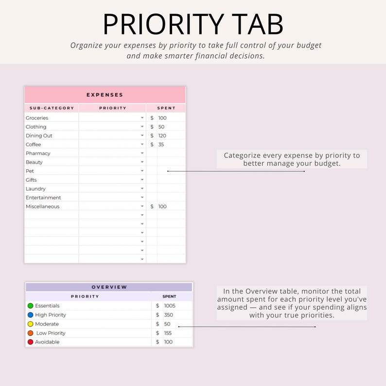 PLR Monthly Budget Spreadsheet | 15 Tab Google Sheets Budget Template | Monthly Budget Planner with Expense Tracker | Private Label Rights